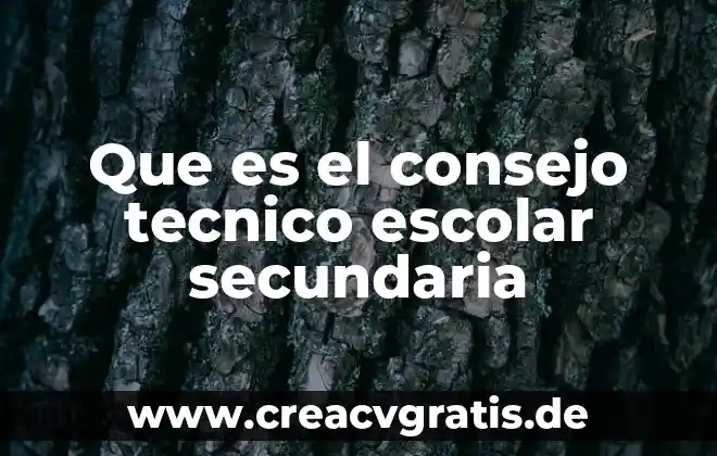 Que es conclusión de libro escolar 4 Que es el consejo tecnico escolar secundaria
