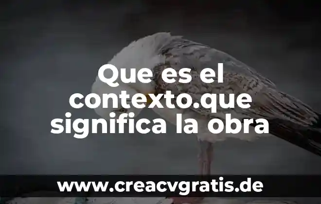 Que es una obra guiñol bajo la misma estrella 6 Que es el contexto.que significa la obra
