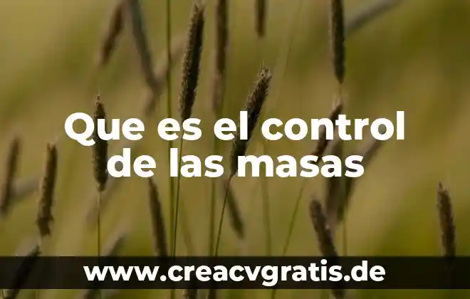 Que es control de respuesta 3 Que es el control de las masas
