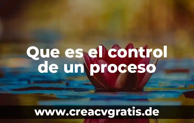 Que es muguet significado 8 Que es el control de un proceso