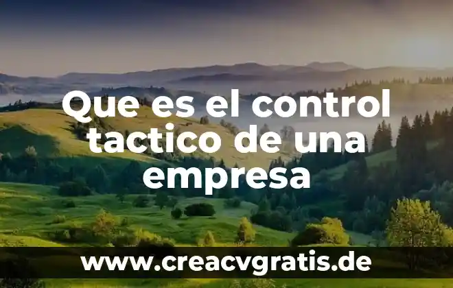 Que es compromiso y tipos de compromiso en una empresa 8 Que es el control tactico de una empresa