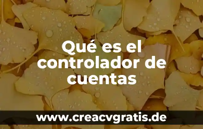 Que es respaldo de controlador def 5 Qué es el controlador de cuentas