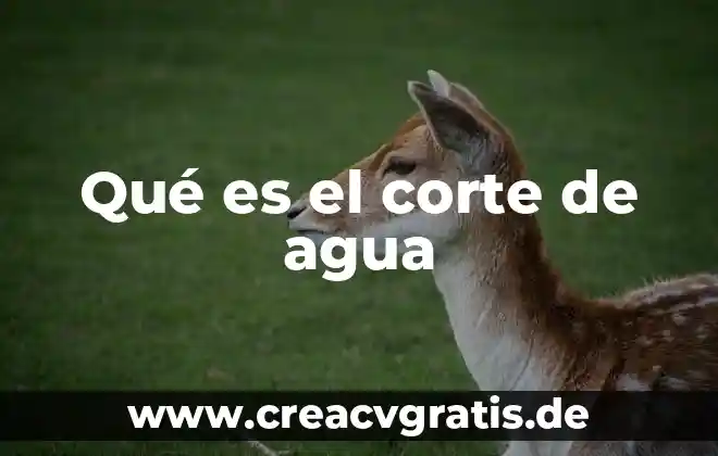 Qué es corte eléctrico significa 5 Qué es el corte de agua