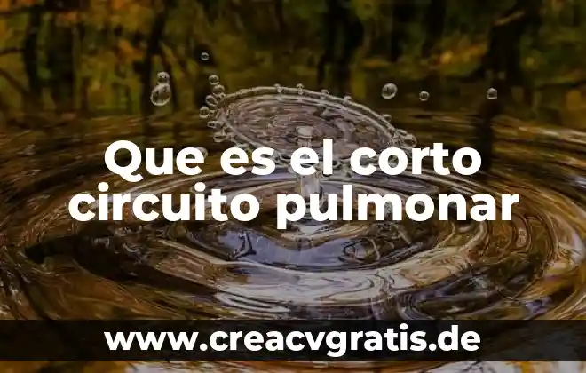 Que es la circuito electrónico tipos 3 Que es el corto circuito pulmonar