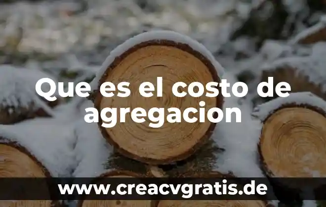 Que es el costo directo o variable 6 Que es el costo de agregacion