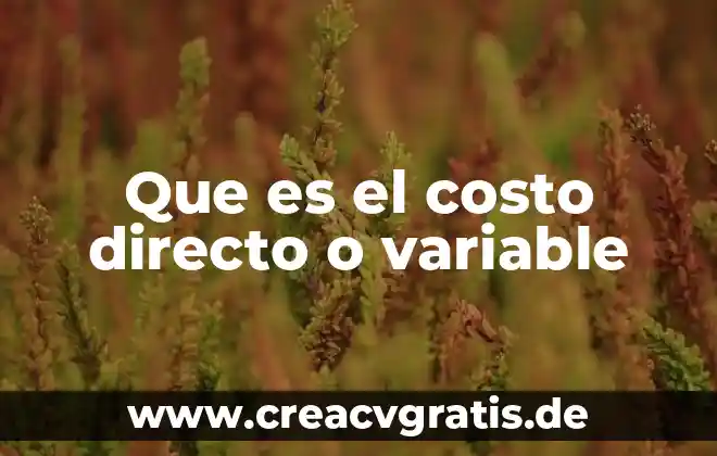 Que es el costo de administracion 3 Que es el costo directo o variable