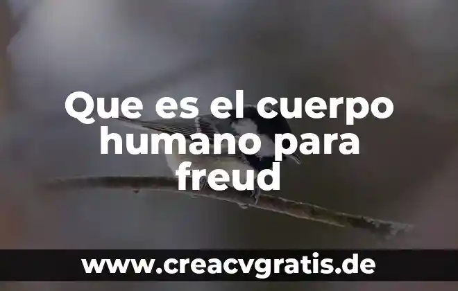 Que es la psicología de las masas según freud 6 Que es el cuerpo humano para freud