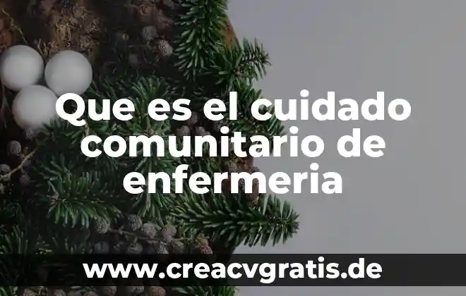 Que es un plan de cuidado y los tipos 6 Que es el cuidado comunitario de enfermeria
