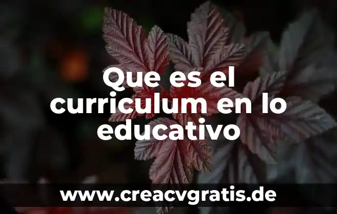 Que es un curriculum vitae tipos 8 Que es el curriculum en lo educativo