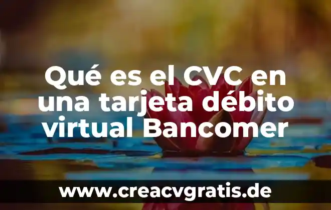 Que es una tarjeta de debito para nomina 5 Qué es el CVC en una tarjeta débito virtual Bancomer