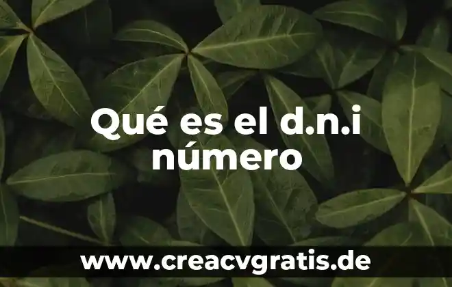 Qué es número ex 7 Qué es el d.n.i número