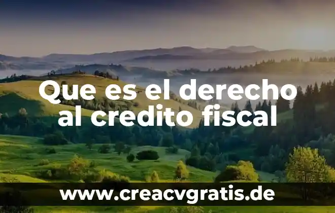 Que es franquicia en derecho mercantil 6 Que es el derecho al credito fiscal