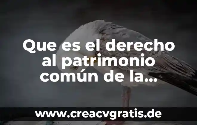 Que es significa patrimonio de la humanidad 6 Que es el derecho al patrimonio común de la humanidad