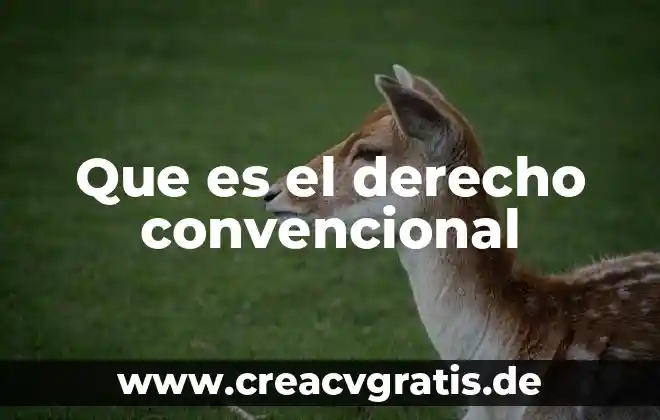 Que es el costos generalizado por viaje 7 Que es el derecho convencional