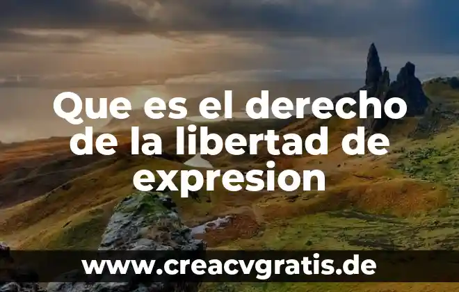 Indautor que es derecho 4 Que es el derecho de la libertad de expresion