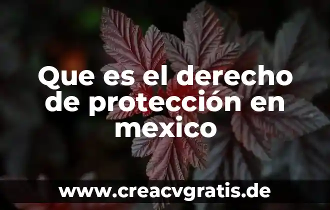 Qué es el área de protección de un logotipo 4 Que es el derecho de protección en mexico