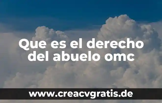 Qué es detox significado 3 Que es el derecho del abuelo omc