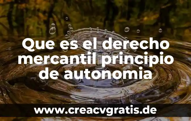Que es un principio teorico o cientifico 8 Que es el derecho mercantil principio de autonomia