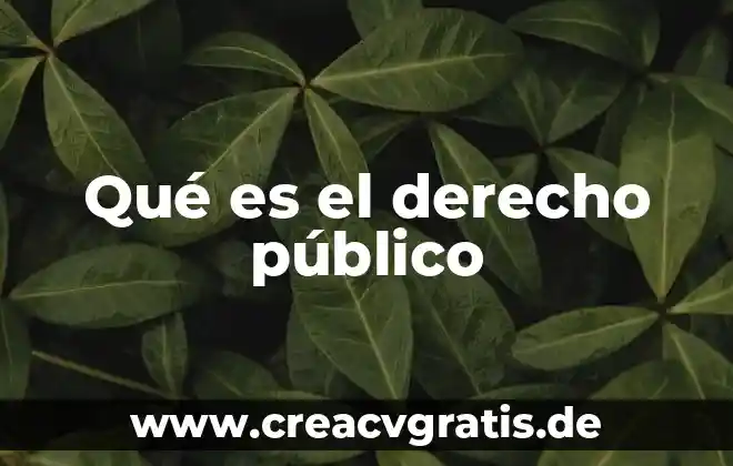 Que es aprovisionamiento dentro del sector publico 7 Qué es el derecho público