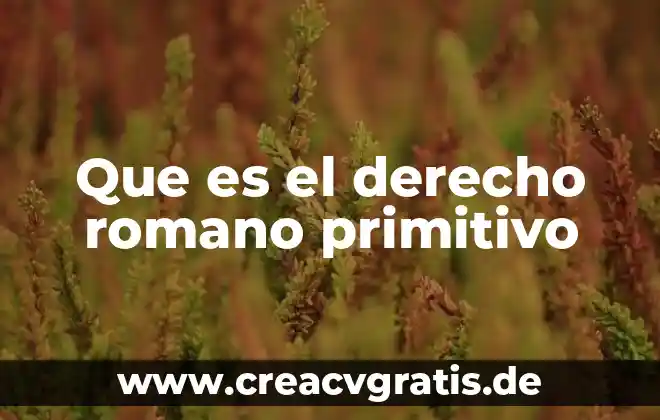 Que es el valor primitivo en java 3 Que es el derecho romano primitivo