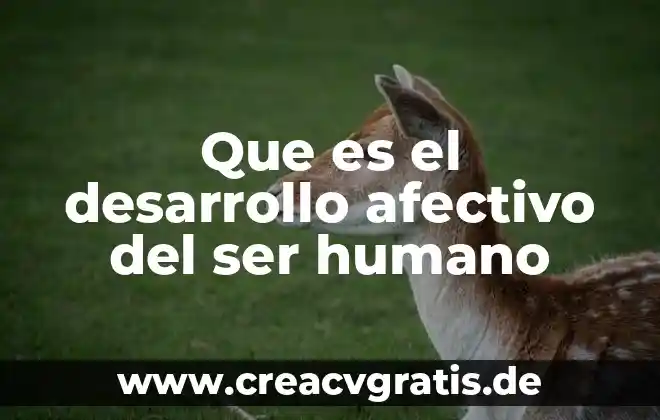 Que es ser fresca en peru 8 Que es el desarrollo afectivo del ser humano
