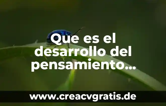 Que es el producto clasificacion y desarrollo 3 Que es el desarrollo del pensamiento sociologico