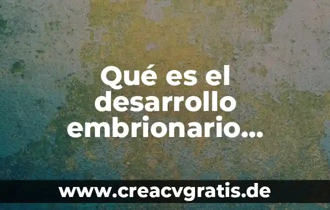 Que es igiene animal 8 Qué es el desarrollo embrionario animal
