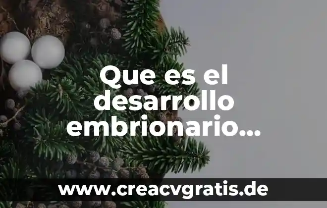 Que es objetivo de desarrollo de cuentas 3 Que es el desarrollo embrionario oviparo