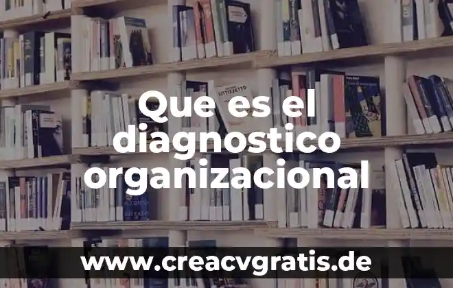 Qué es el concepto de diagnóstico de franquiciabilidad 5 Que es el diagnostico organizacional