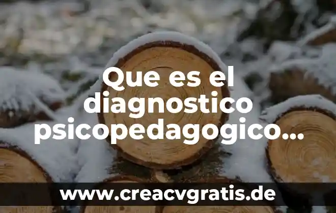 Qué es el concepto de diagnóstico de franquiciabilidad 7 Que es el diagnostico psicopedagogico segun sara pain