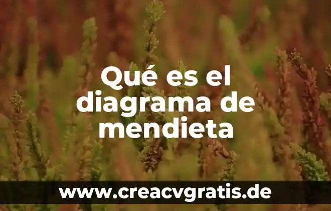 Diagrama de flujo que es y nombre de sus partes 4 Qué es el diagrama de mendieta