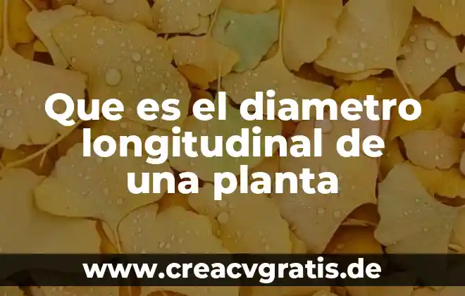 Que es la resina de una planta 6 Que es el diametro longitudinal de una planta
