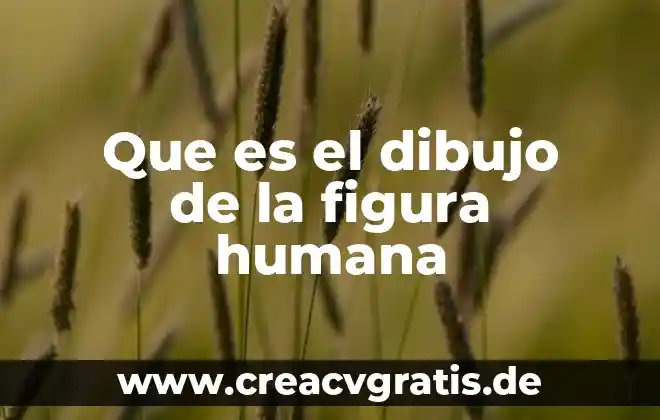Que es la figura humana de machover 8 Que es el dibujo de la figura humana