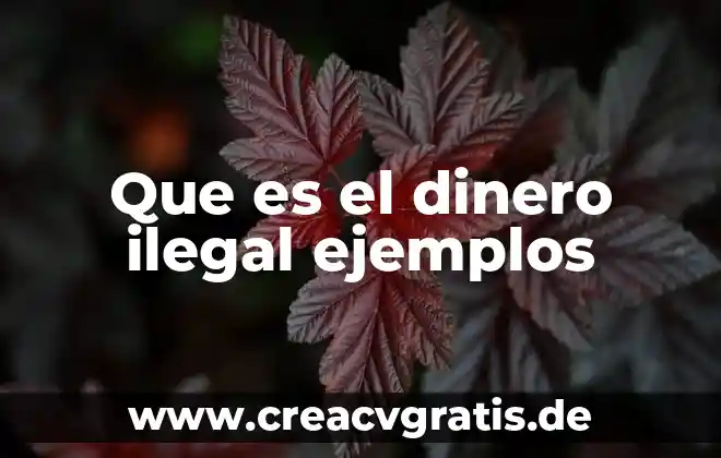 Qué es droker ejemplos 7 Que es el dinero ilegal ejemplos