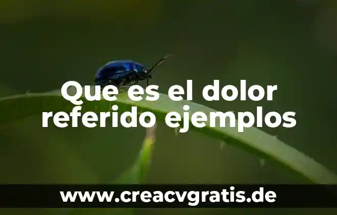 Conocimientos populares de que es dolor de cabeza 7 Que es el dolor referido ejemplos