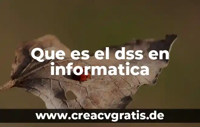 Que es cargar en informatica 6 Que es el dss en informatica