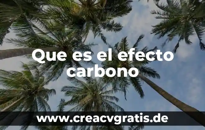 Que es una planta de multiple efecto 7 Que es el efecto carbono