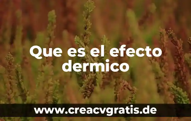 Que es el efecto subviraje 3 Que es el efecto dermico