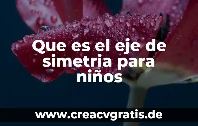 Investigar que es eje de simetría 8 Que es el eje de simetria para niños