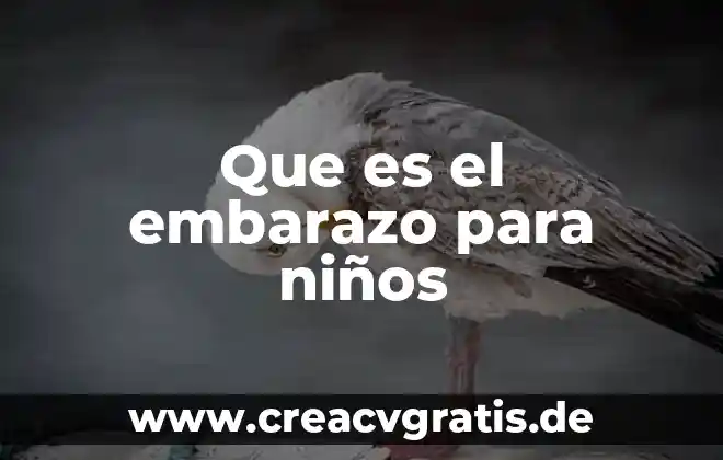 El embarazo que es para niños 4 Que es el embarazo para niños