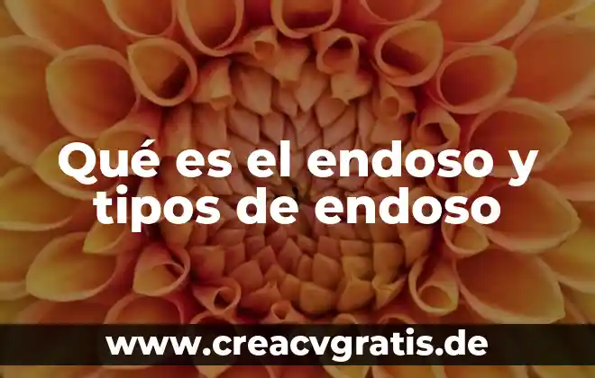 Para que es la teoria del esatod 5 Qué es el endoso y tipos de endoso