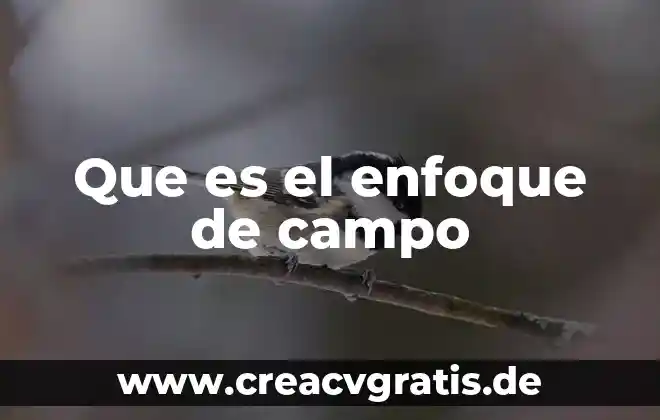 Que es una atmosfera en una tuberia de agua 4 Que es el enfoque de campo