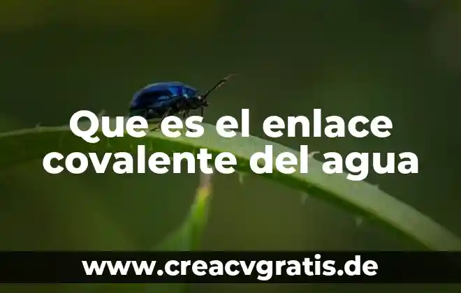 Que es el agua facturada 3 Que es el enlace covalente del agua