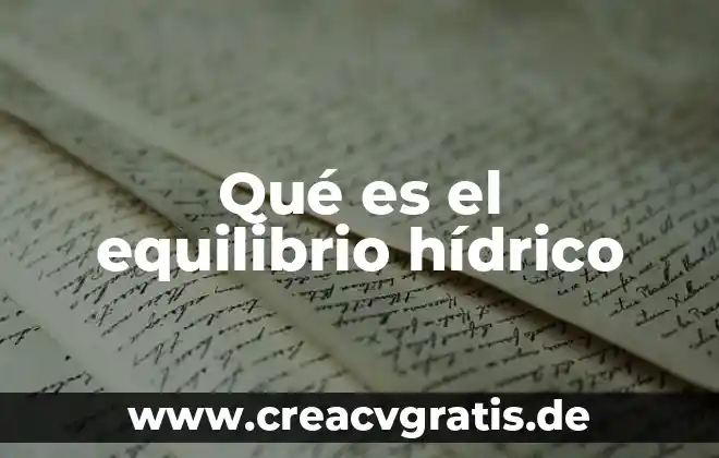 Que es el equilibrio en el mercado de dinero 5 Qué es el equilibrio hídrico