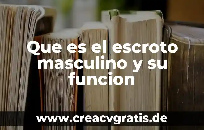 Qué es la vesícula seminal del sistema reproductor masculino 7 Que es el escroto masculino y su funcion