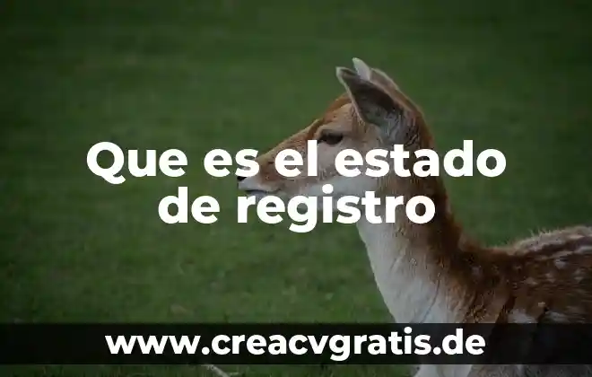 Que es estado en trabajo social 8 Que es el estado de registro