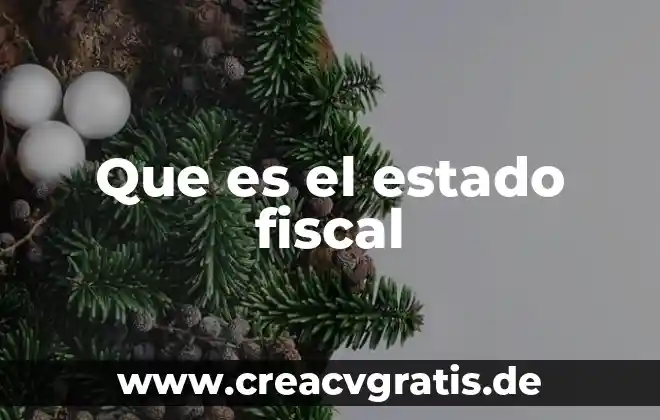 Que es una firma fiscal 3 Que es el estado fiscal