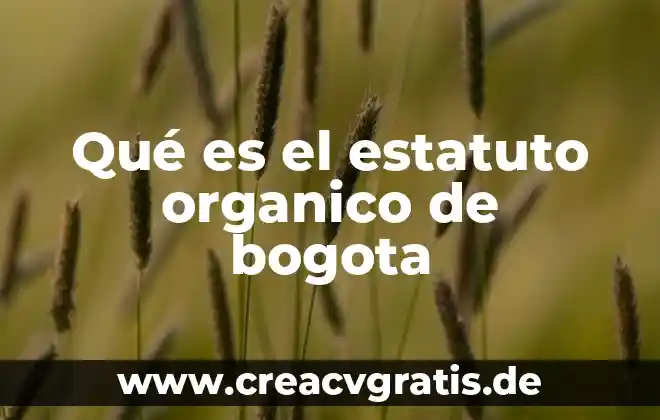 Que es esqueleto organico 6 Qué es el estatuto organico de bogota