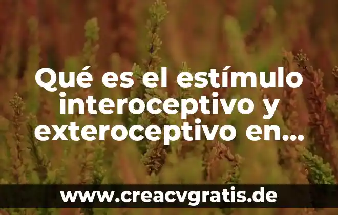 Que es un estimulo condicionado ejemplos 5 Qué es el estímulo interoceptivo y exteroceptivo en psicología