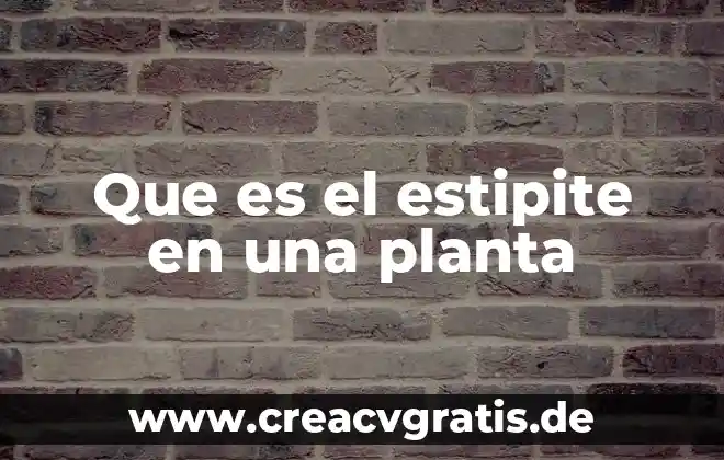 Que es una planta autogama y alogama 8 Que es el estipite en una planta